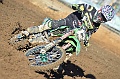_ROB6783 (Copy)